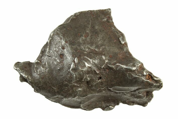 Sikhote-Alin Iron Meteorite ( grams) - Russia #243163